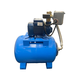 Pedrollo fotoГидрофор с защитой от сухого хода Pedrollo Hydrofresh PKm 65 - 24 CL 0,5 kW  italia
