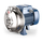 Pedrollo fotoЦентробежный насос Pedrollo CPm150 ST4 0.75kW  italia