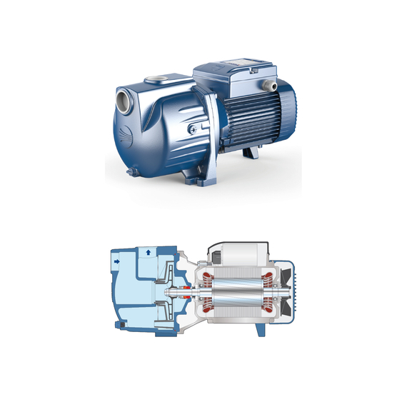 pedrolloНасос для ирригации Pedrollo SPRINKLER SKRm 1.5 kW, изображение 2italia