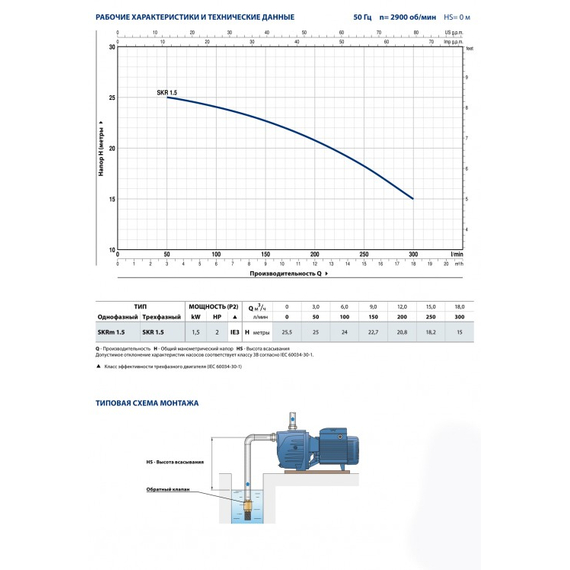 pedrolloНасос для ирригации Pedrollo SPRINKLER SKRm 1.5 kW, изображение 3italia