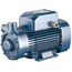 Pedrollo fotoВихревой насос PQ3000 Pedrollo 2,2 kW , изображение  2 italia