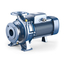 pedrolloЦентробежный насос стандарта "EN 733" Pedrollo F 50/250AR 22 kW, изображение 2italia